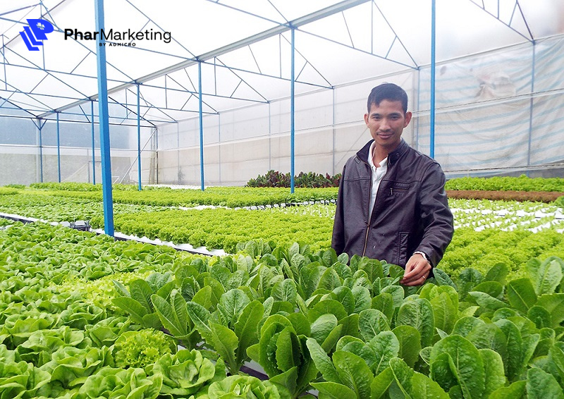 Với nhiều lợi thế về môi trường tự nhiên, kỹ thuật canh tác mà các địa phương có thể phát triển mô hình trồng nông sản sạch